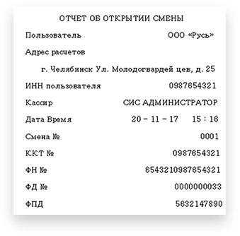 Кассовые чеки для отчетности в Челябинске
